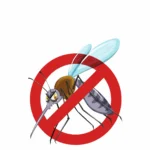 black modern world malaria day instagram post