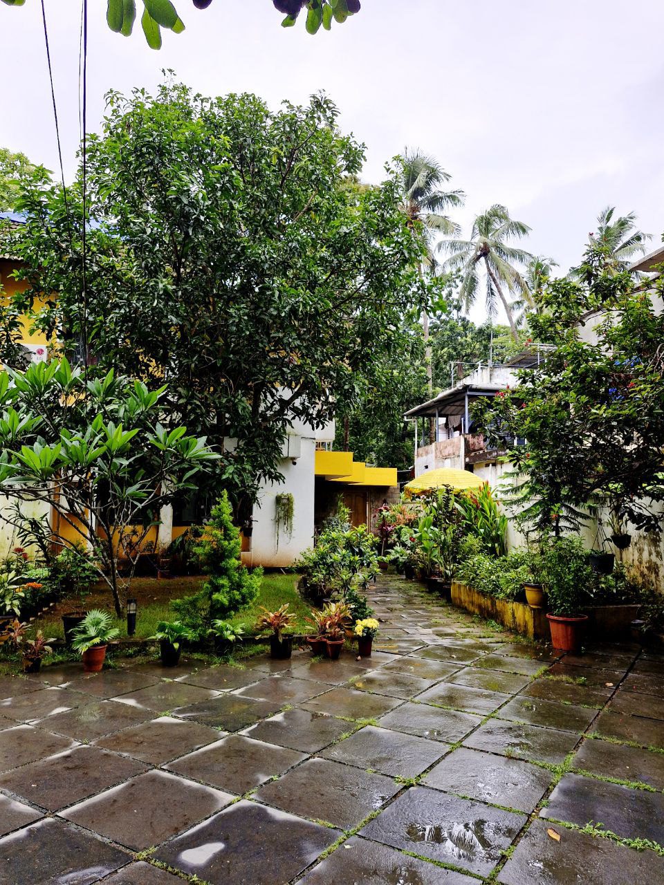 Calm and peaceful atmosphere at Mothers Inn the best homestay in kochi